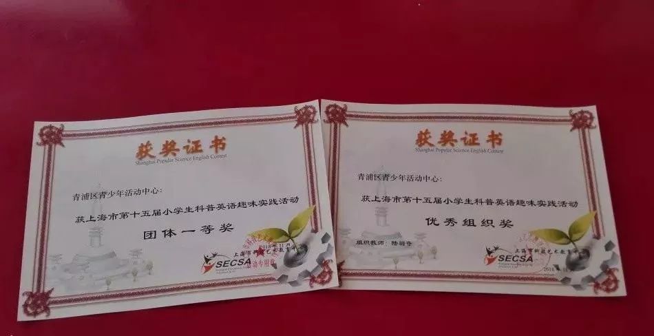盛华最新章节揭秘，探寻新篇章的奥秘