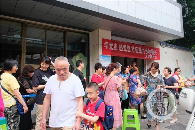 蔬菜最新行情，自然探索之旅，寻求内心宁静与平和