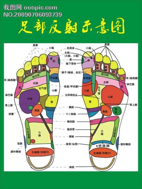 最新足部反射区示意图，探索自然美景，寻找内心平和与宁静的旅程