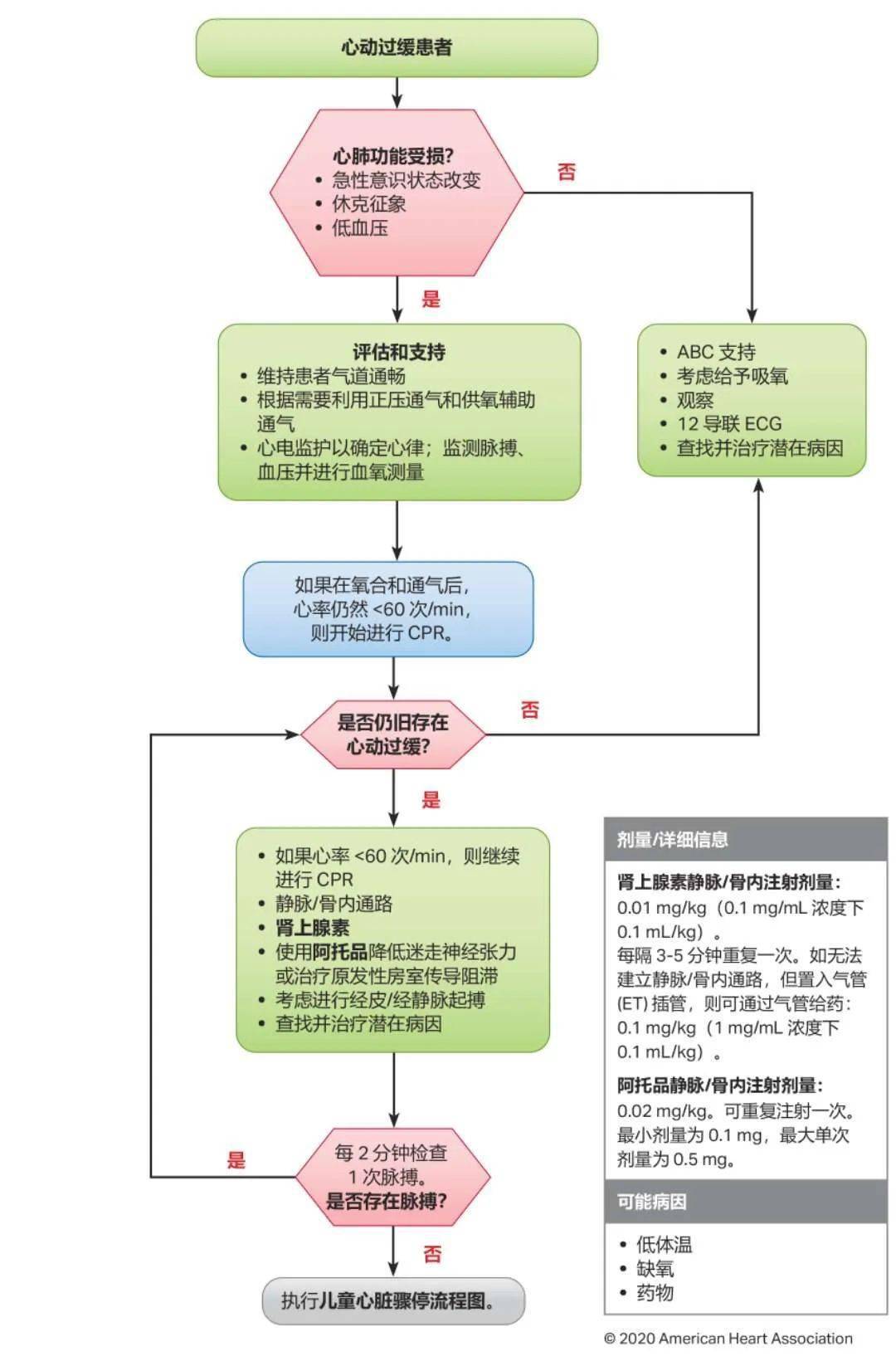 心肺复苏最新指南详解，关键要点概览