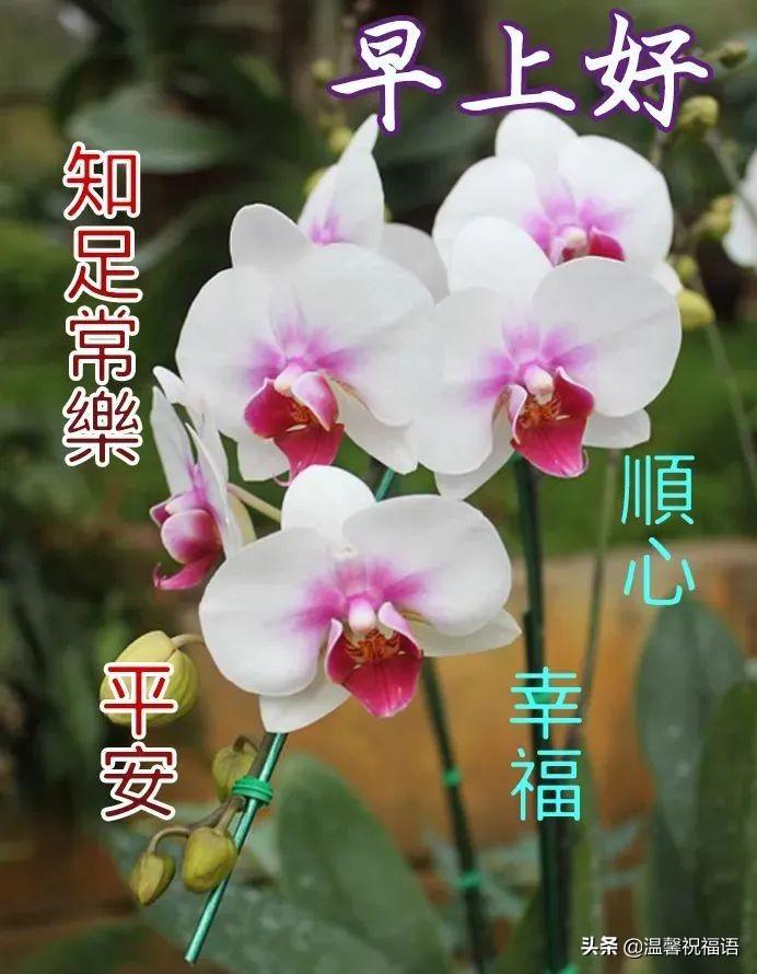 新能源汽车 第91页