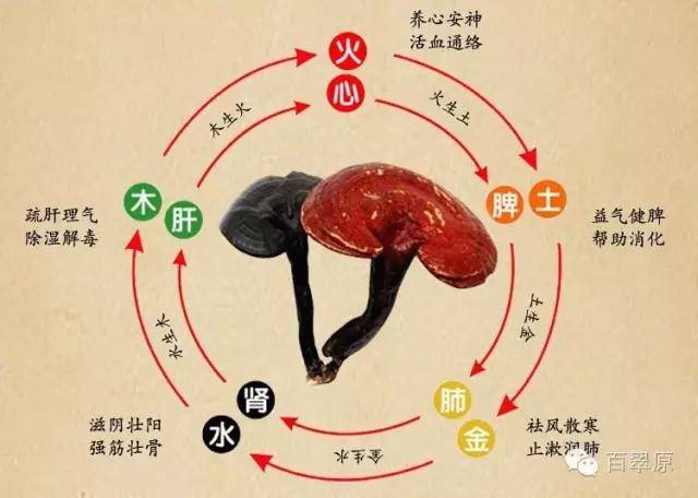 最新冠状肺炎病例与小巷深处的独特风景与特色小店探索