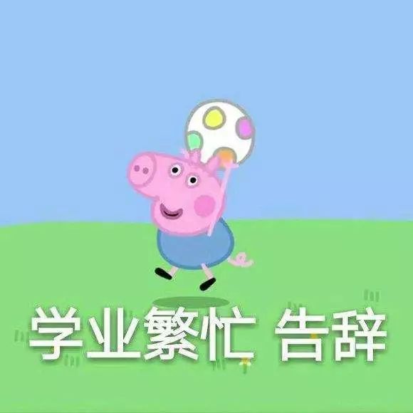 小猪价格最新动态，学习之旅中的变化与自信成就的力量