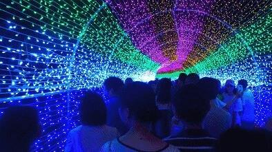 宫崎骏最新动漫梦幻之旅启航，再次感受梦幻世界的魅力