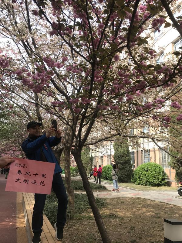王者荣耀最新英雄揭晓，自然之旅的使者启程探索内心宁静之路