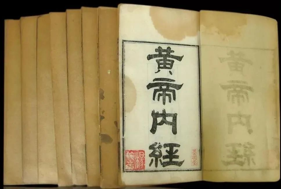 时代背景下的璀璨瑰宝，最新黄书综述