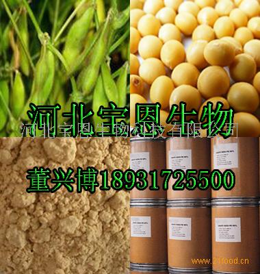 今日大豆价格动态与小巷中的特色小店探寻之旅