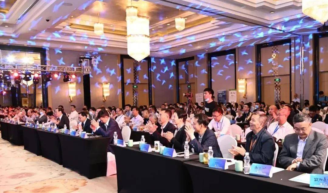 韩国最新19禁内容，小巷中的神秘乐园揭秘