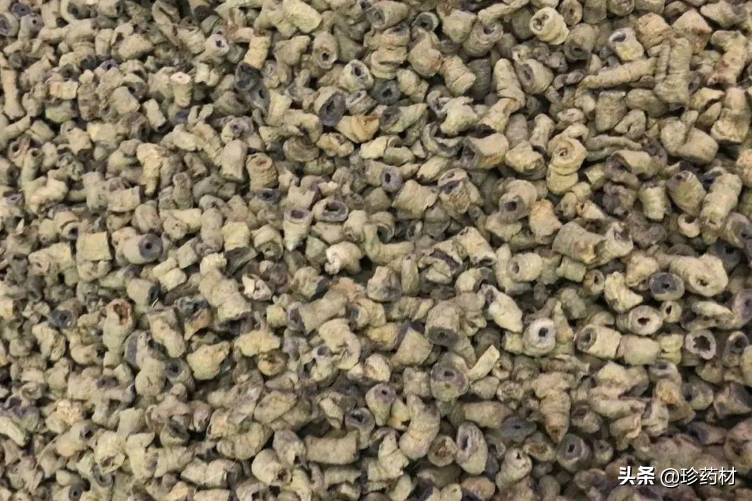 茯苓最新行情深度解析，背景、事件与地位探讨