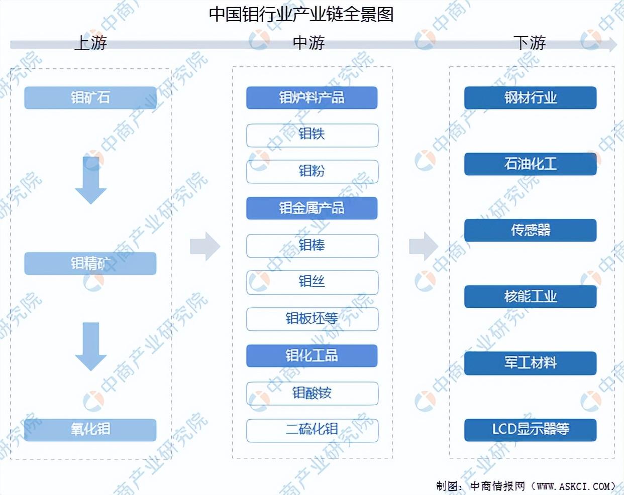 市场动态分析