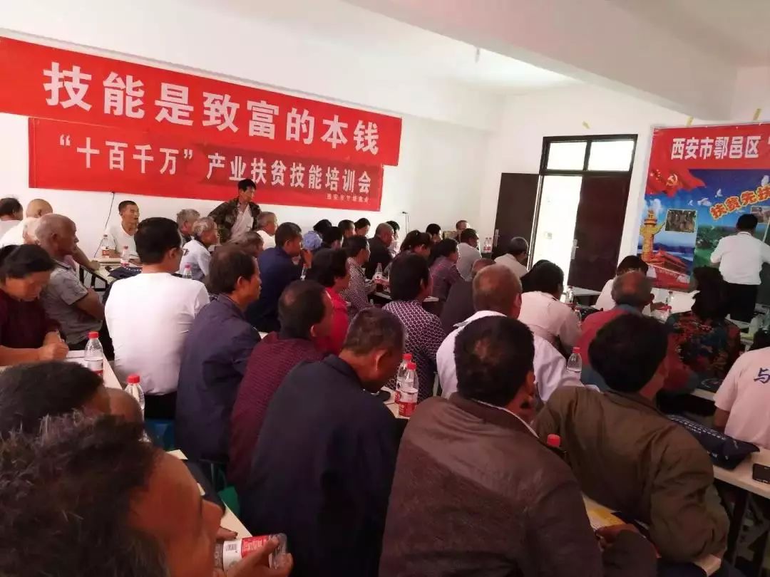 鄠邑区最新签约消息，特色小店亮相小巷深处，独特风味惊喜呈现